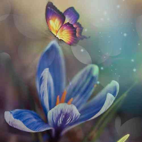 ایمان طهماسبی دیگه ندارم طاقت موندن من این شهرو